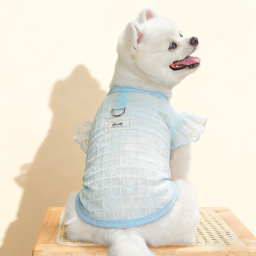 Flutter Sleeve Top with Soft Stretch_CWMM11127