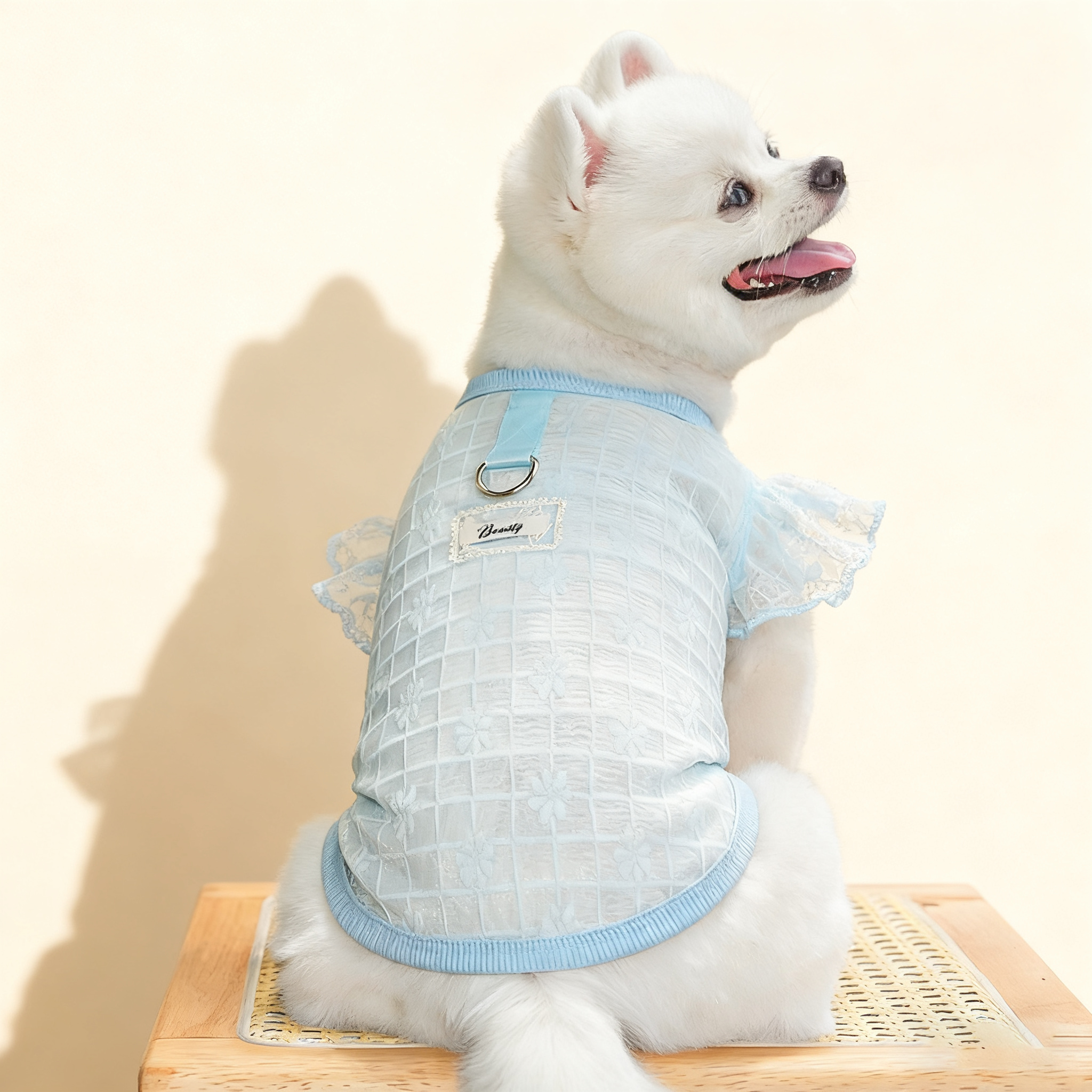 Flutter Sleeve Top with Soft Stretch_CWMM11127