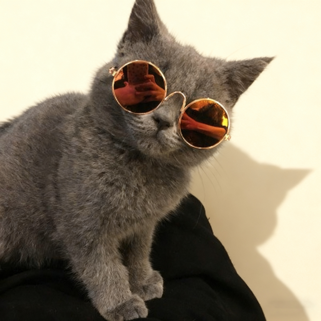 Cute Pet Sunglasses – Dog Cat Photo Props_CWMM11290
