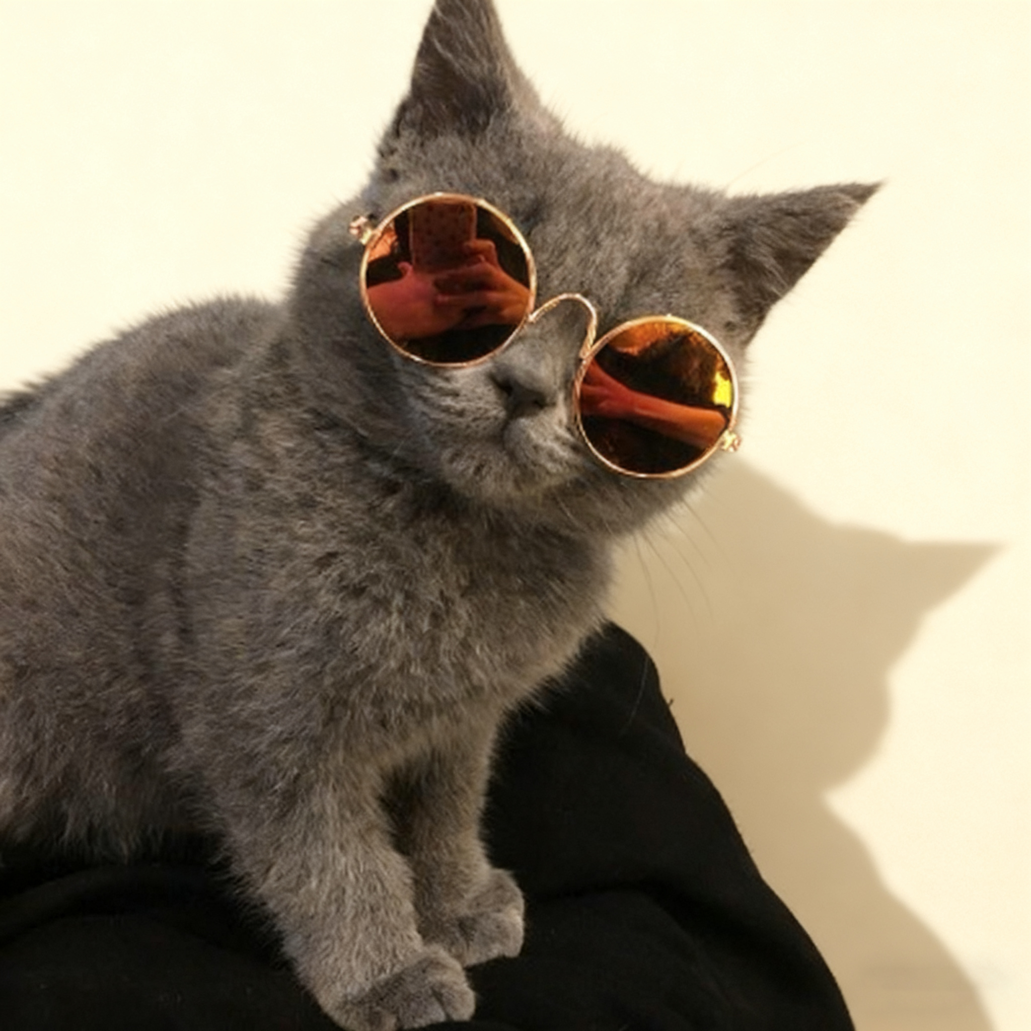 Cute Pet Sunglasses – Dog Cat Photo Props_CWMM11290