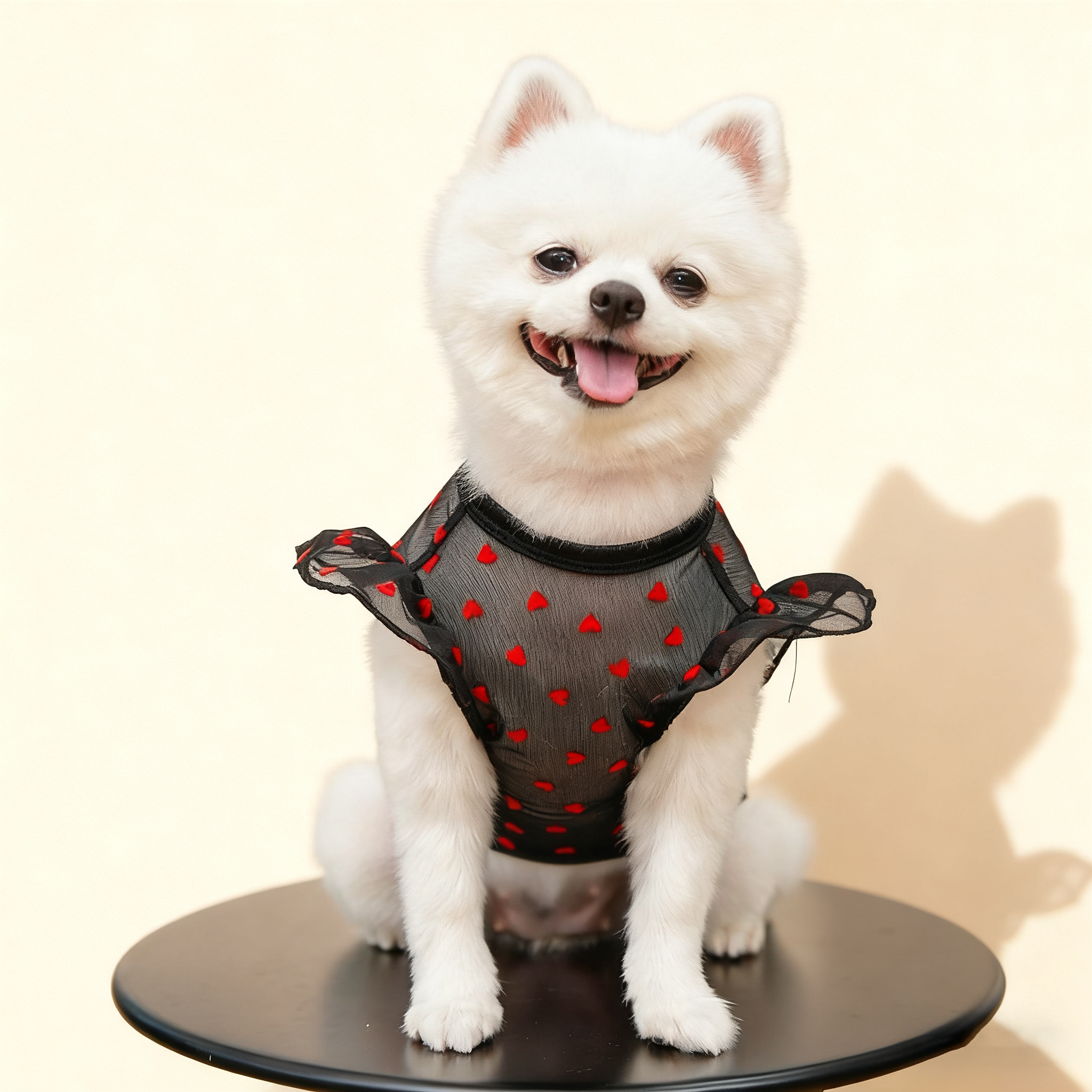 Airy Mesh & Flutter Sleeve Design_CWMM11125