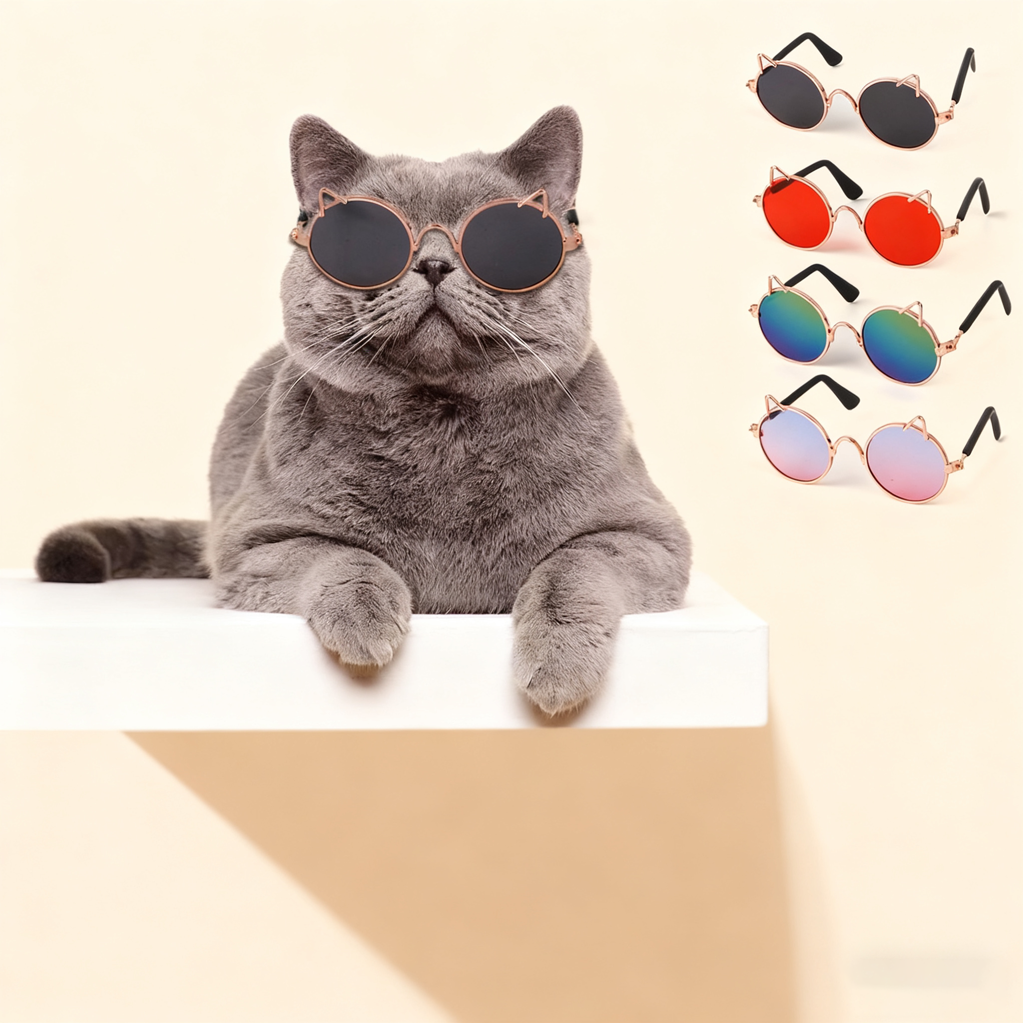 Pet Round Glasses – Cute Photo Decor for Pets_CWMM11287