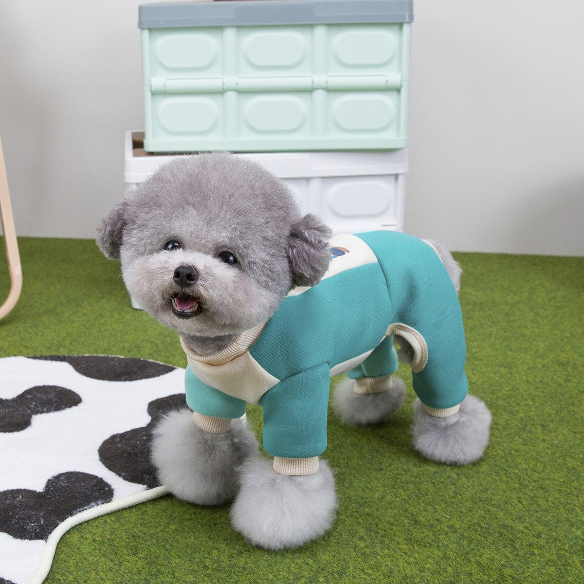 Winter Lion Dog Hoodie Jumpsuit Small Dogs_CWMM12258