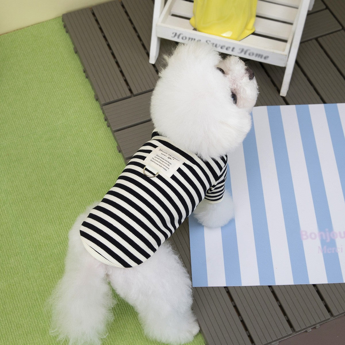 Striped Dog Cat T-Shirt Winter Small Dogs_CWMM12251