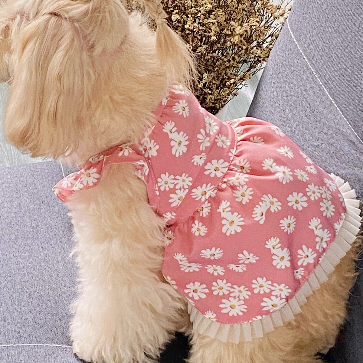 Cute Pet Dress Daisy Puff Sleeve Design_CWMM13247