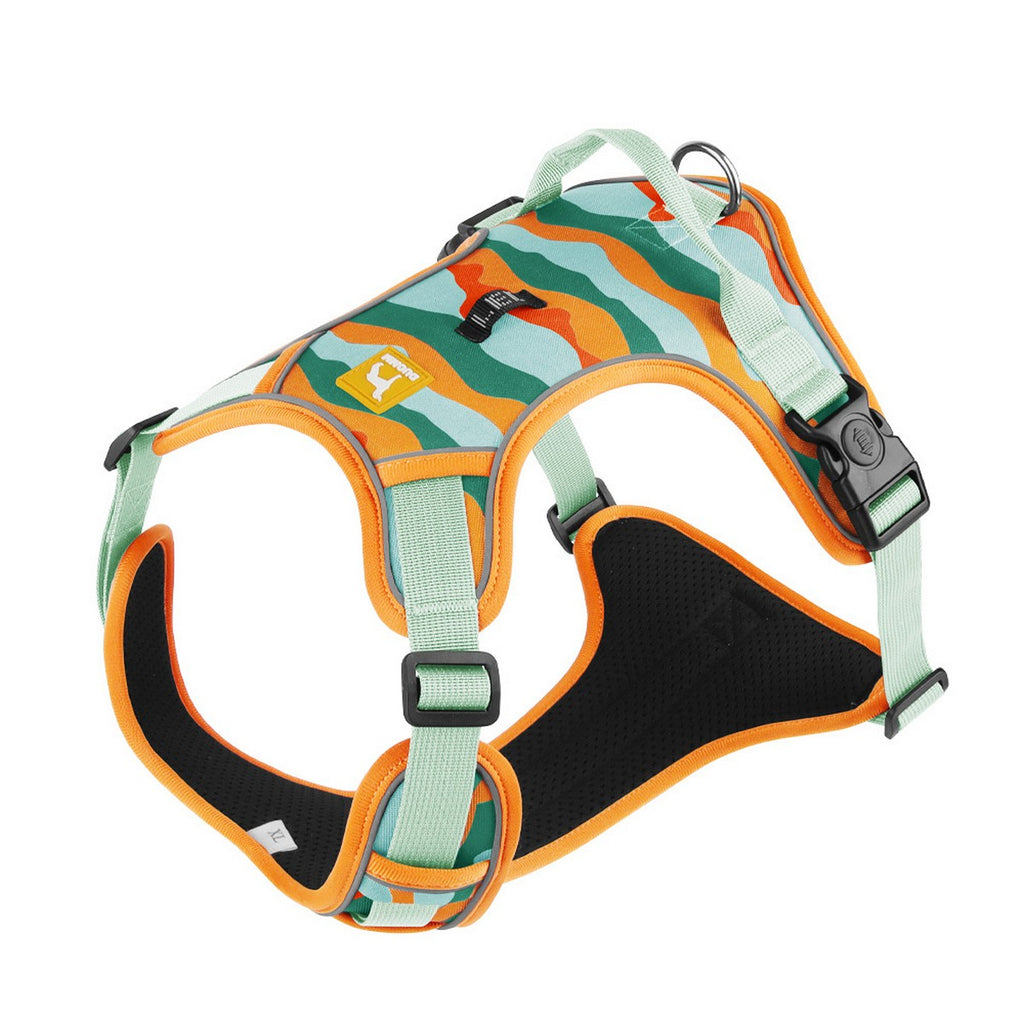 Digital Print Dog Harness with Leash, No Pull_CWMM12485