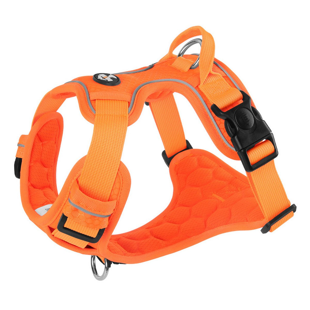 Comfort Fit Dog Harness with Reflective Trim_CWMM12553