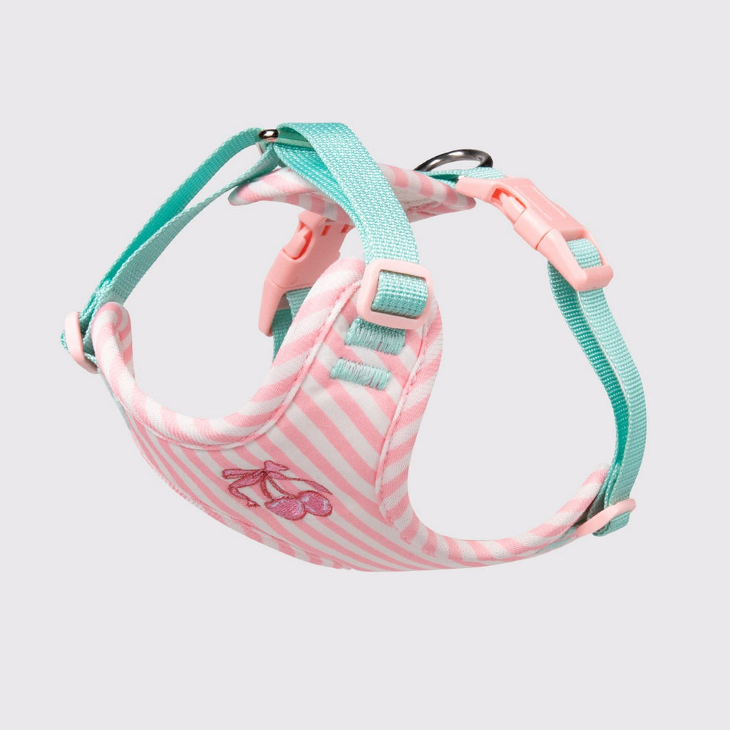 Small Dog Vest Harness with Secure Leash_CWMM12571
