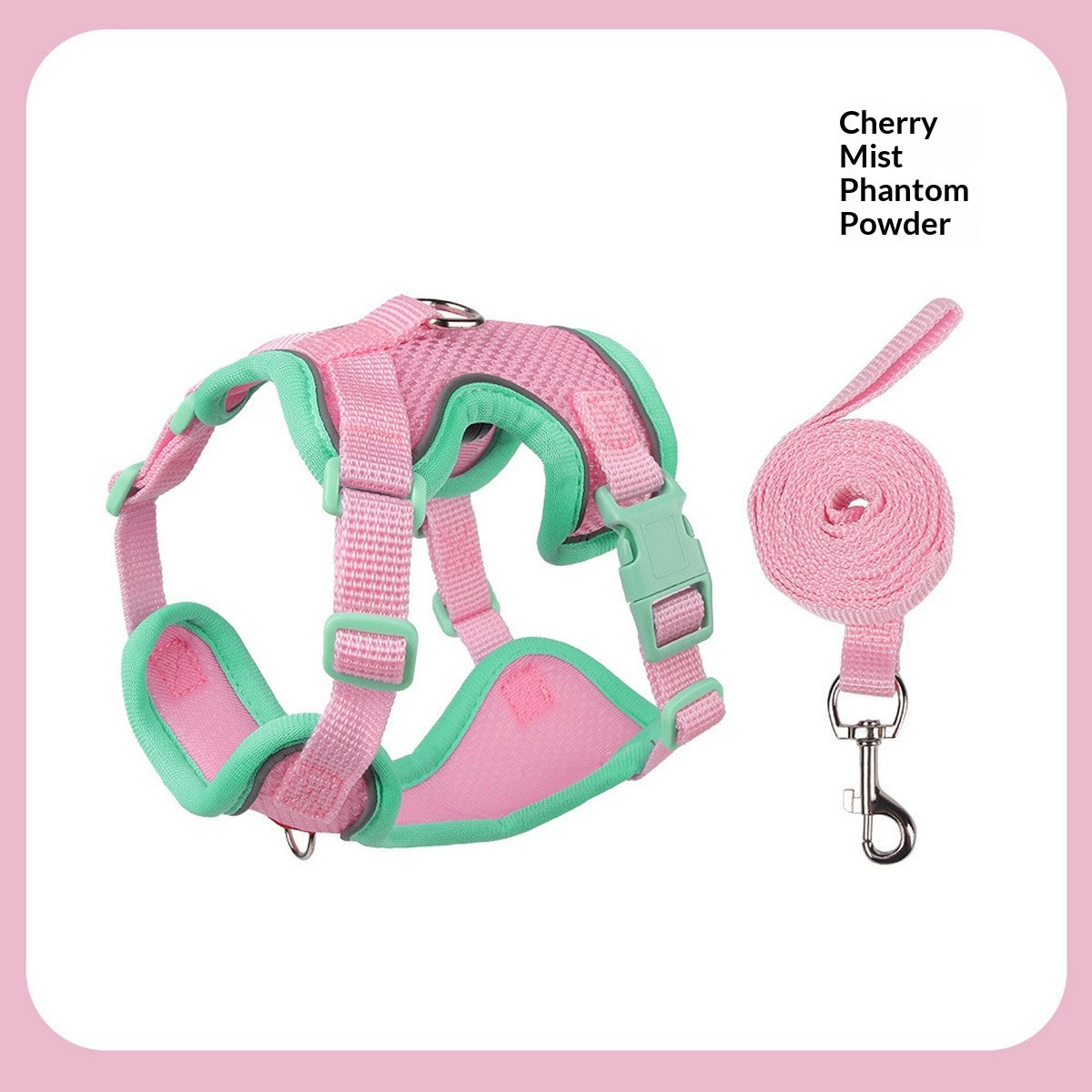 Comfort Fit Dog Vest Harness with Leash_CWMM12569