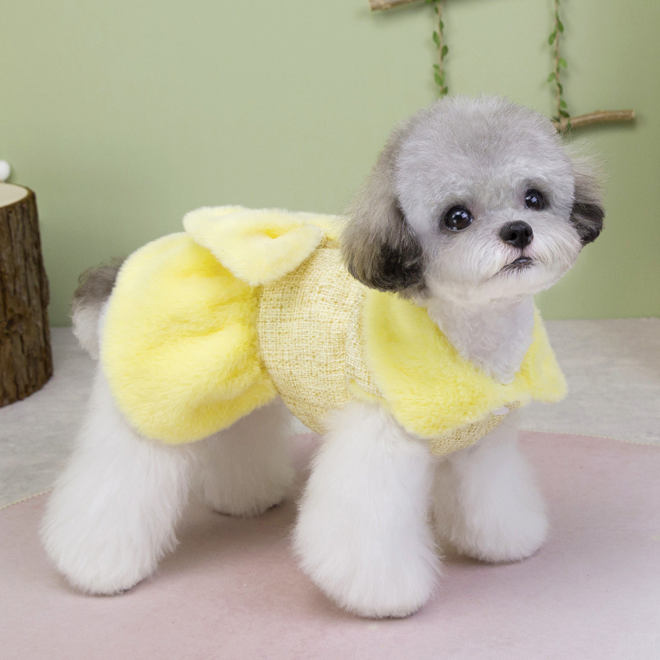 Teddy Bichon Dog Winter Princess Dress_CWMM12201
