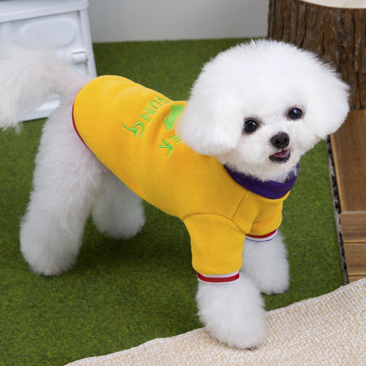 Warm Fleece Dog Hoodie for Small Dogs_CWMM12198
