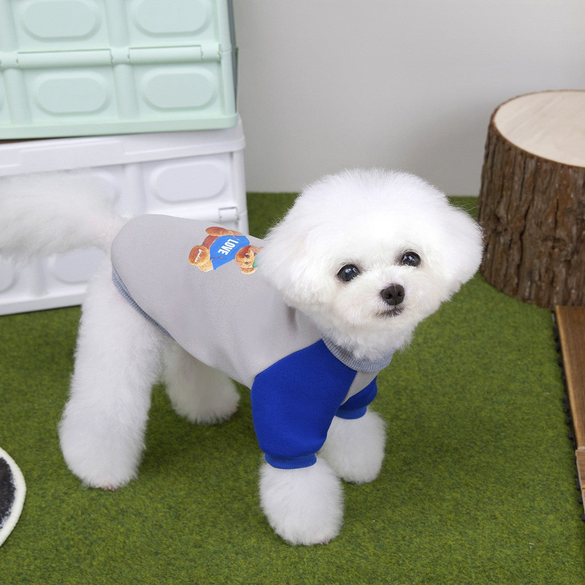 Warm Fleece Dog Hoodie Teddy Bichon Yorkie_CWMM12249