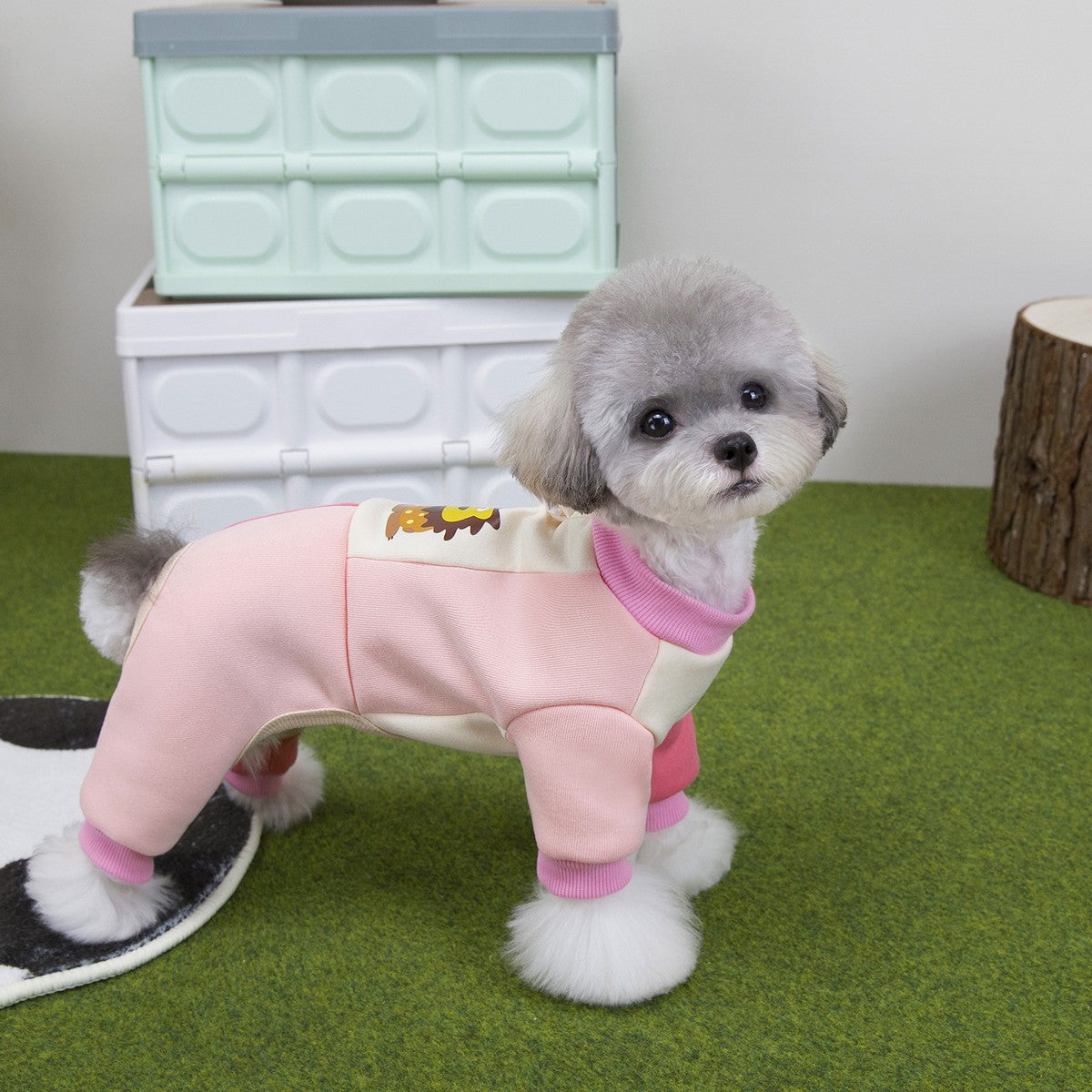 Winter Lion Dog Hoodie Jumpsuit Small Dogs_CWMM12258