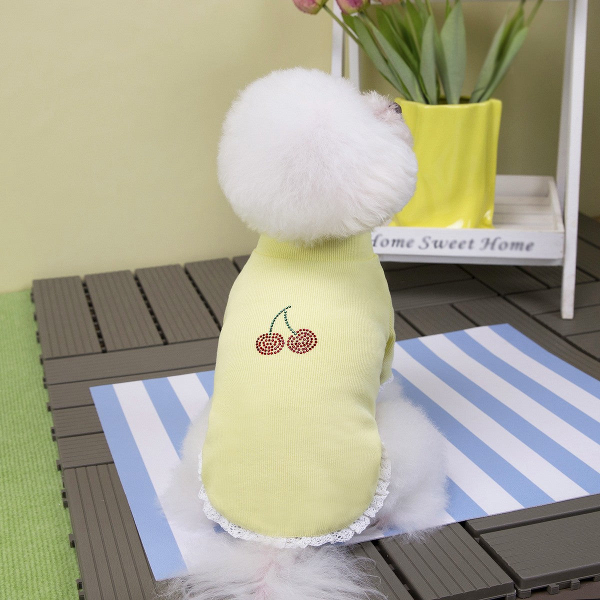 Cherry Rhinestone Dog Turtleneck Hoodie_CWMM12256