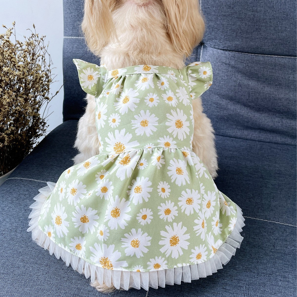 Cute Pet Dress Daisy Puff Sleeve Design_CWMM13247