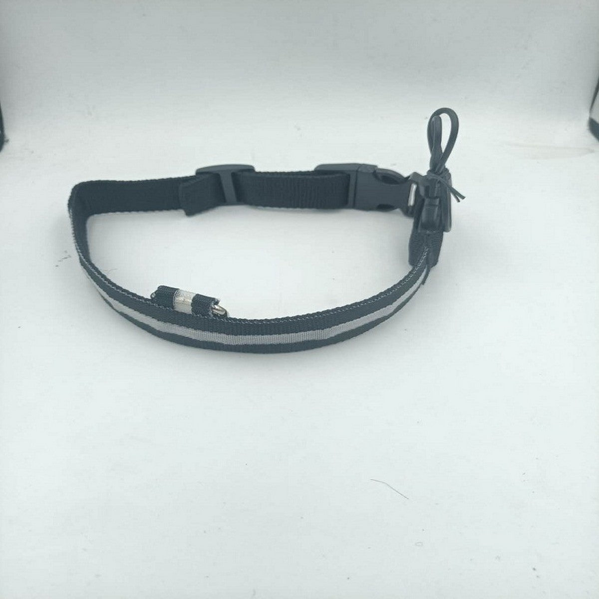 LED Nylon Dog Collar USB Night Safety Glow_CWMM11485