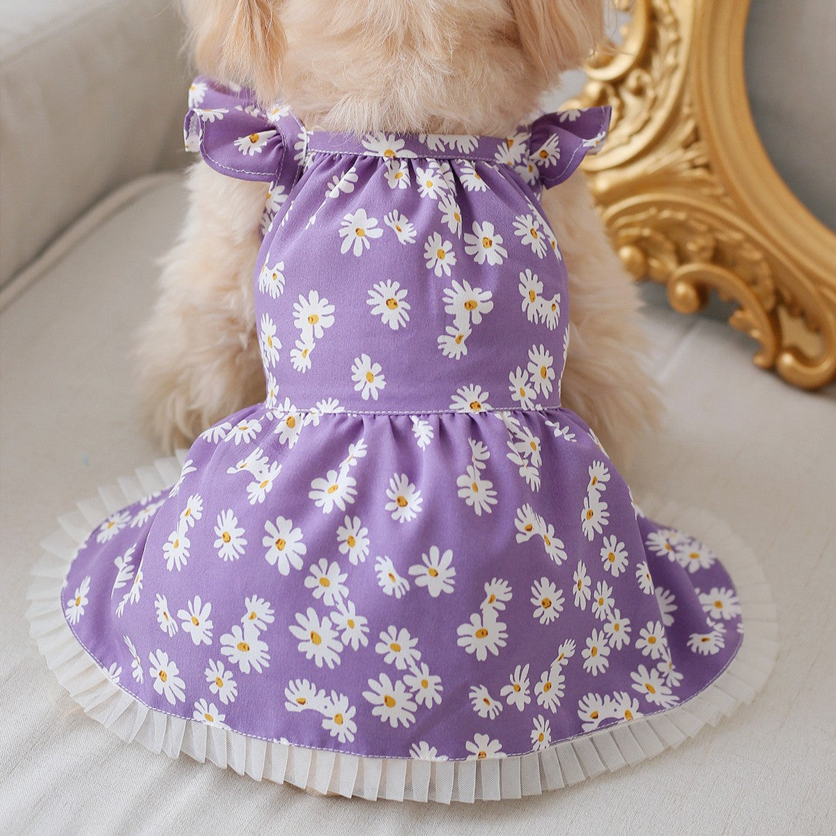 Cute Pet Dress Daisy Puff Sleeve Design_CWMM13247