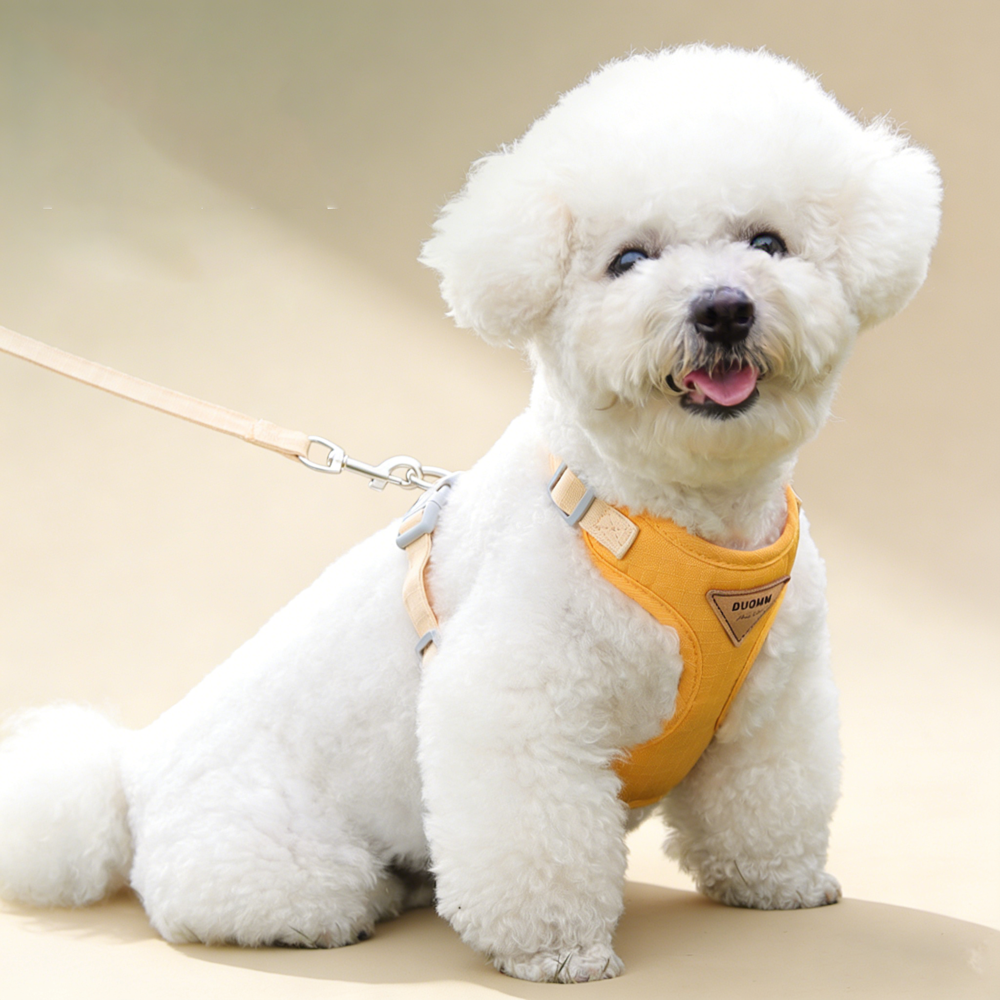 Small Dog Harness with Leash, Secure Fit_CWMM12567