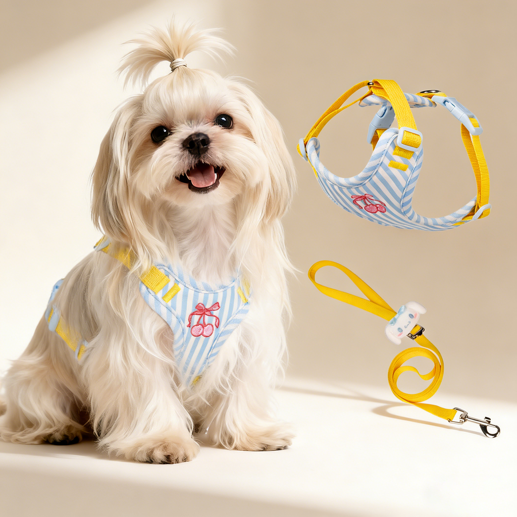 Comfort Fit Dog Vest Harness and Leash Set_CWMM12570