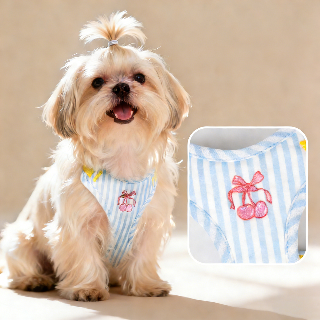 Small Dog Vest Harness with Secure Leash_CWMM12571