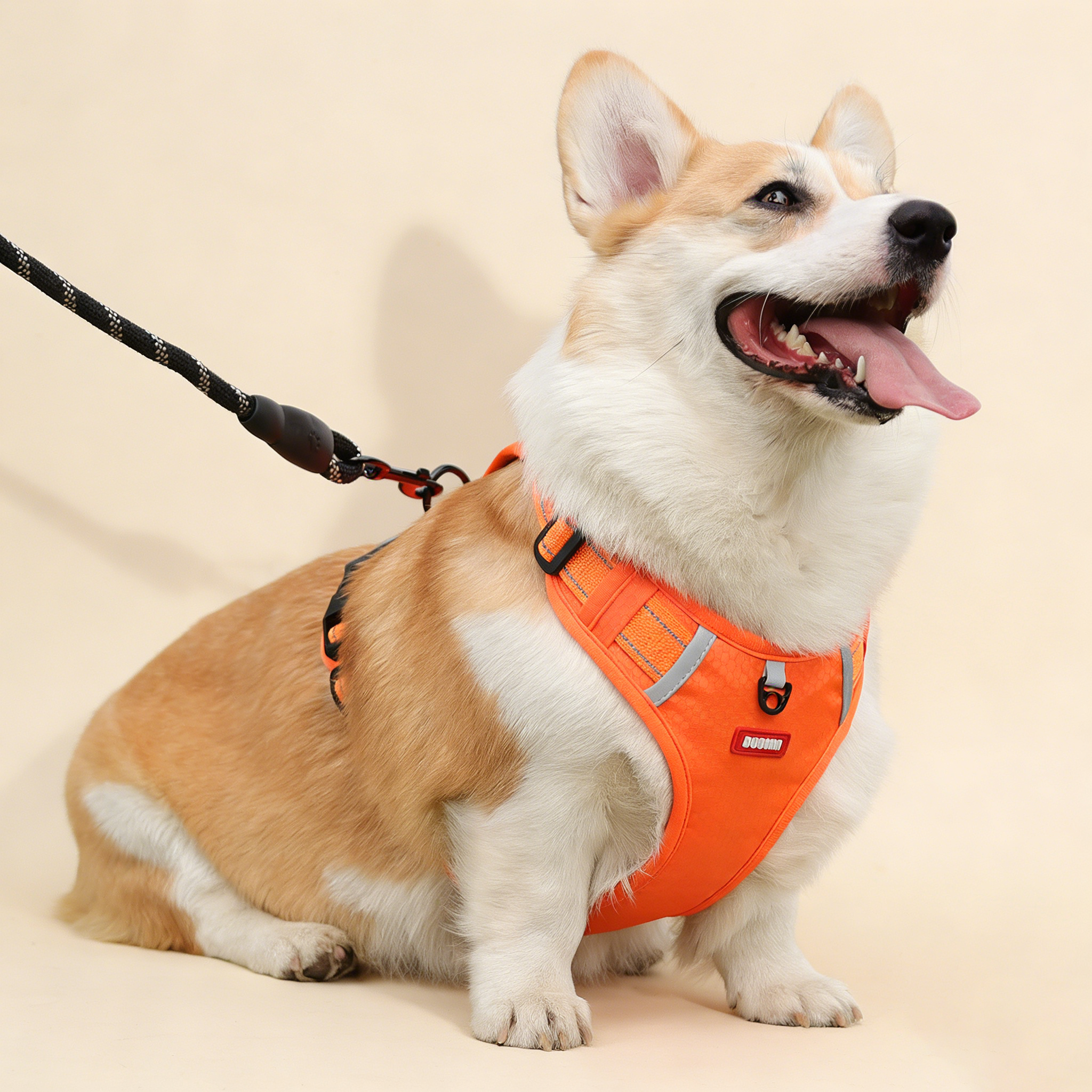 No-Pull Reflective Dog Harness, Large Dog Leash_CWMM12442