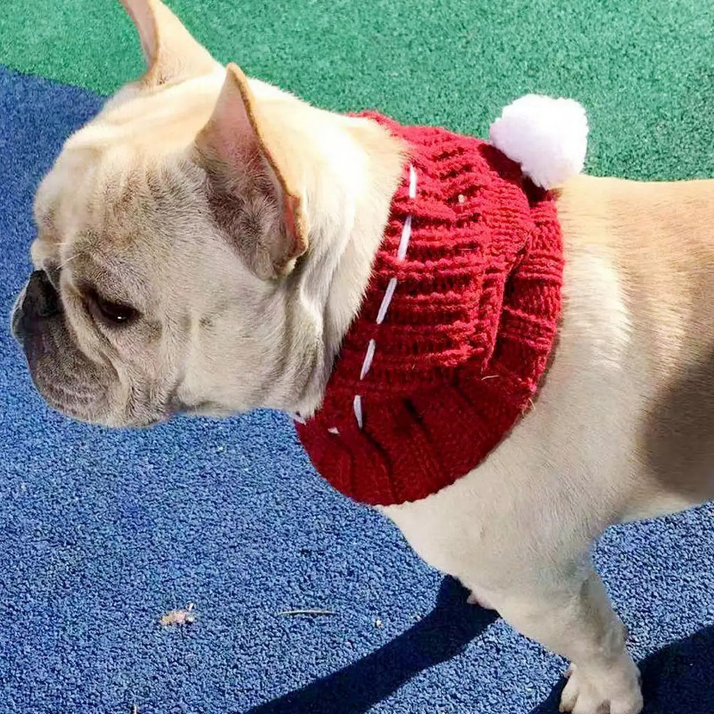 Knitted Dog Hat – Warm & Cute for French Bulldogs_CWMM6107