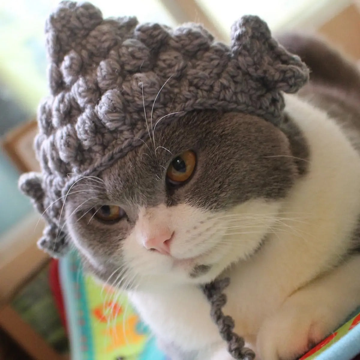 Funny Buddha Hat for Cats – Handmade Costume_CWAH3710