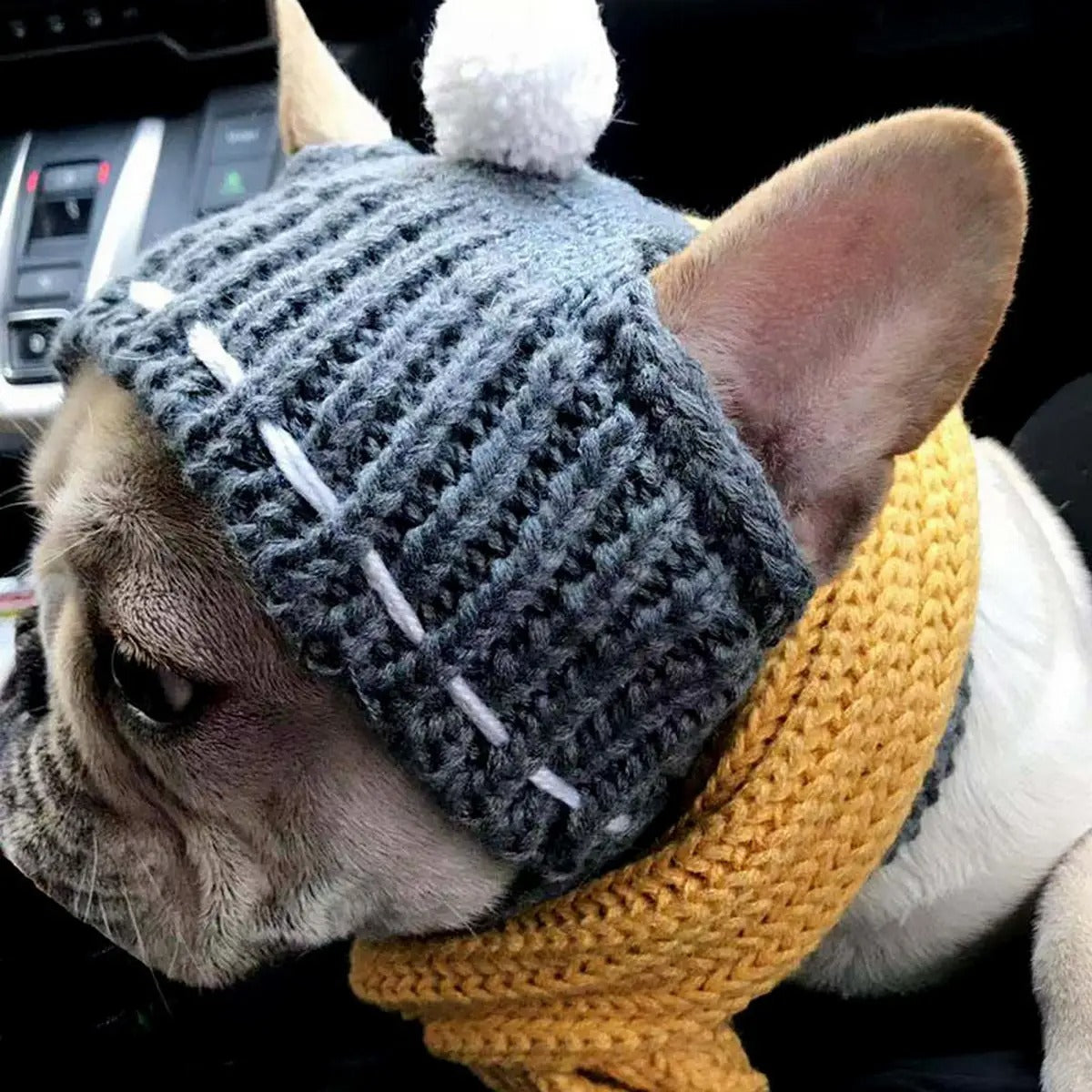 Knitted Dog Hat – Warm & Cute for French Bulldogs_CWMM6107