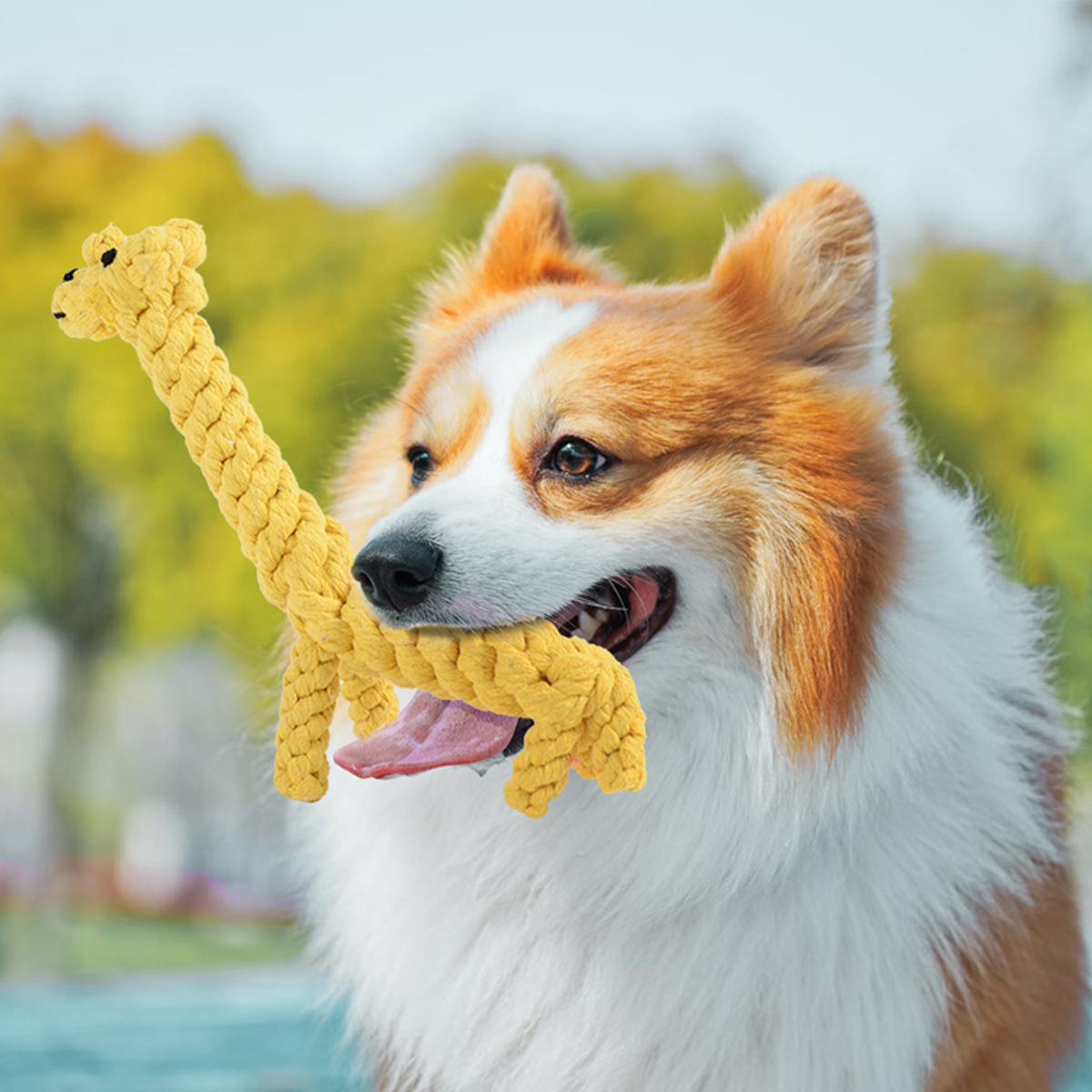 Giraffe Rope Dog Toy – Durable Chew Toy_CWMM8033