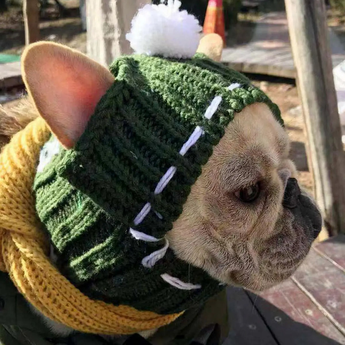 Knitted Dog Hat – Warm & Cute for French Bulldogs_CWMM6107