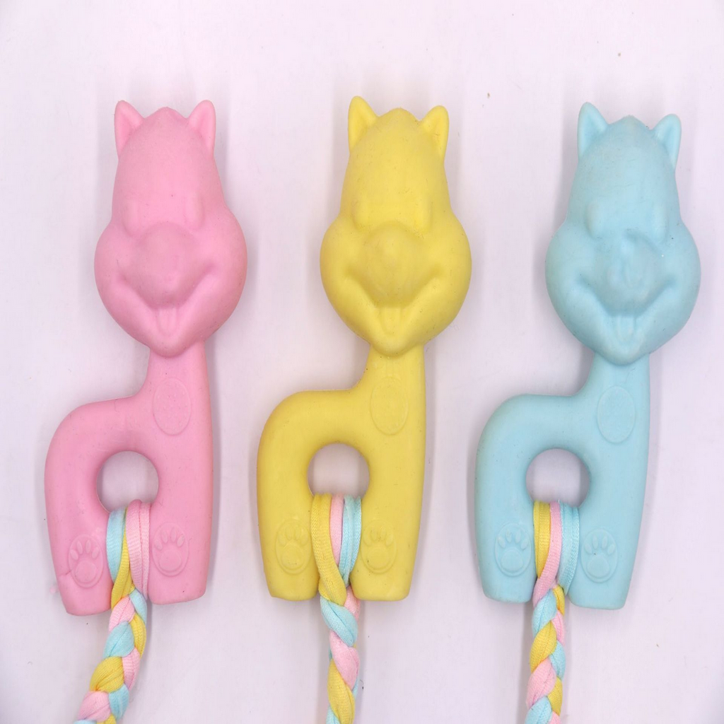 Large Dog Chew Bone for Teething & Dental Care_CWMM7236