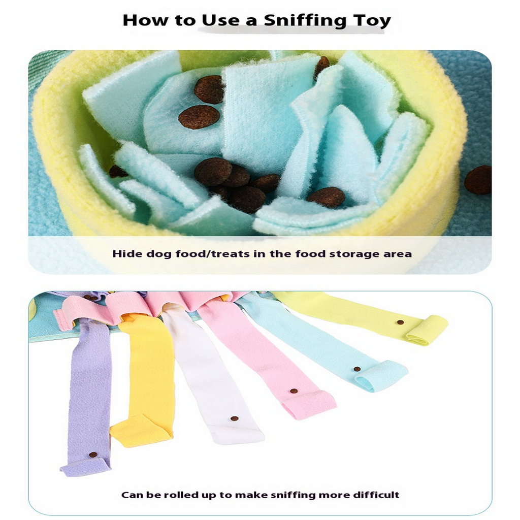 Jellyfish sniffing pad for pet dogs_CWMM6731