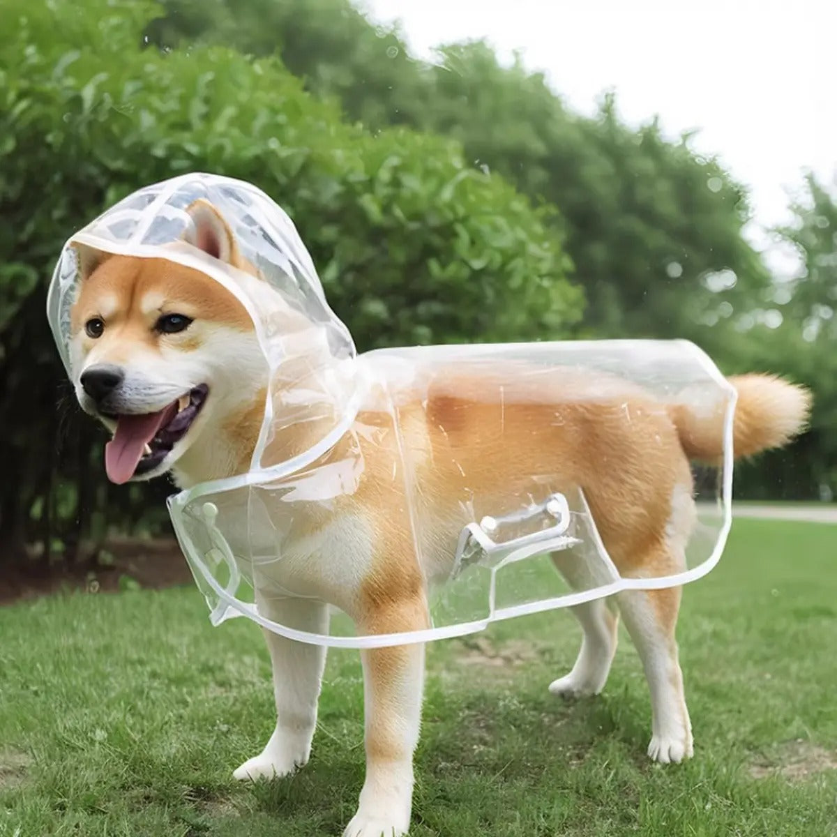 Dog Rain Poncho – Leash Hole, Clear, Waterproof_CWMM7297