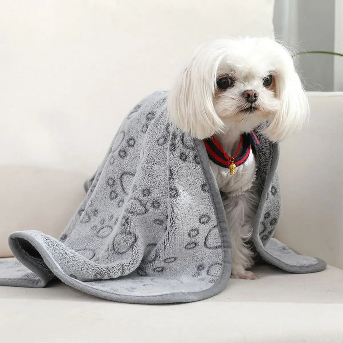 Paw Print Plush Dog Mat, Pet Comfort Blanket_CWMM5268