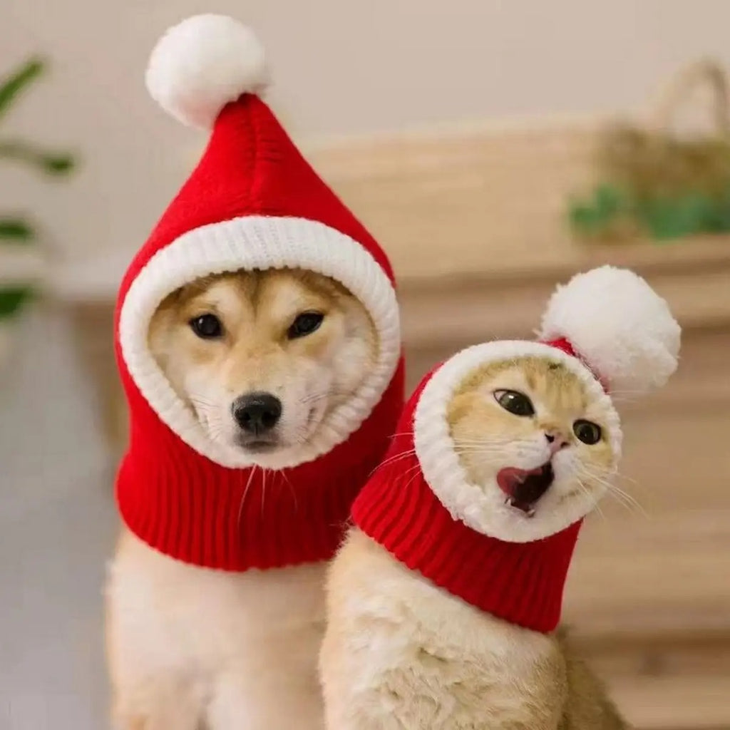 Christmas Knit Pet Hat – Festive Red for All Dogs_CWAH3705