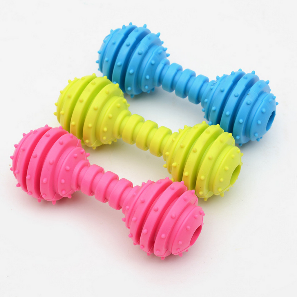 Dog Molar Toy Set – TPR Rubber Bone & Ring_CWMM7173