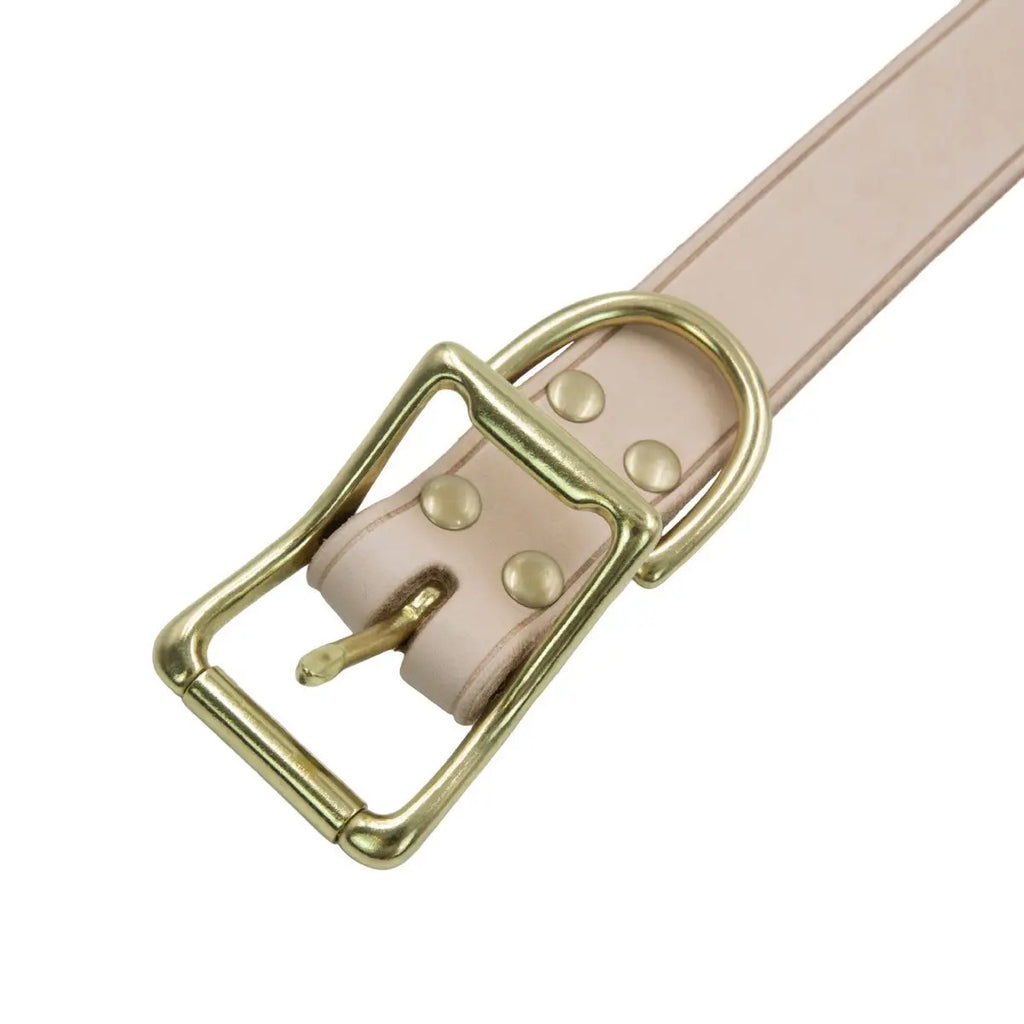 Handcrafted Leather Dog Collar, Brass Buckle_CWMM7700