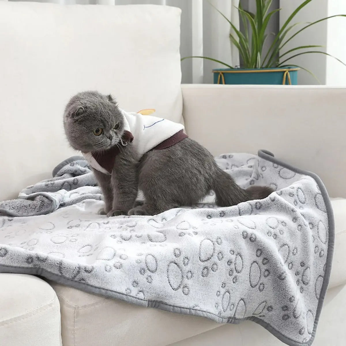 Paw Print Plush Dog Mat, Pet Comfort Blanket_CWMM5268