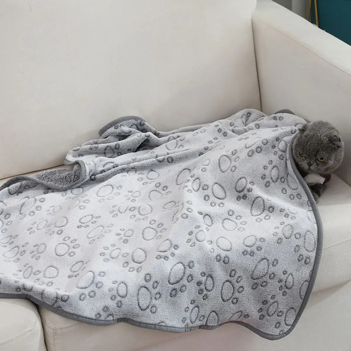 Paw Print Plush Dog Mat, Pet Comfort Blanket_CWMM5268