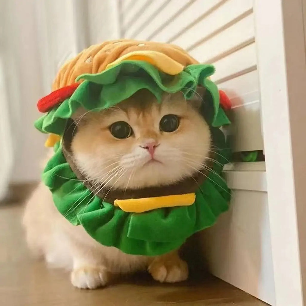 Burger Pet Cone Hat Funny Costume for Cats & Dogs_CWAH3700