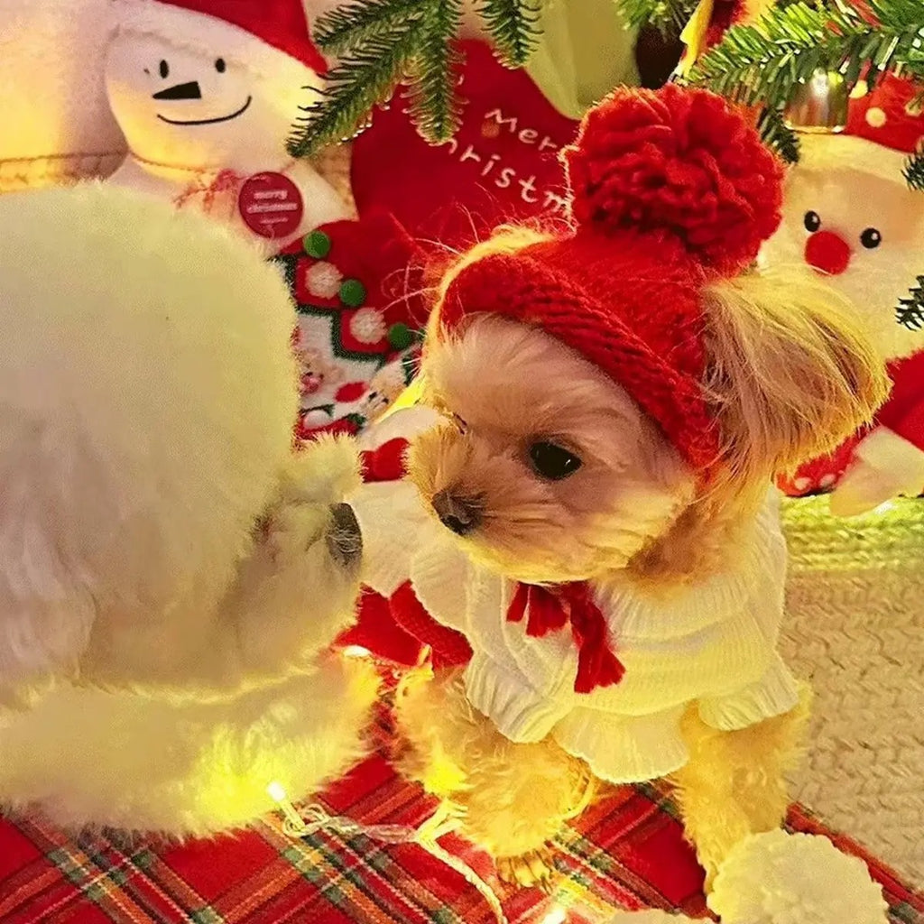 Christmas Knit Hat for Pets – Cute Pom Pom Cap_CWAH3751