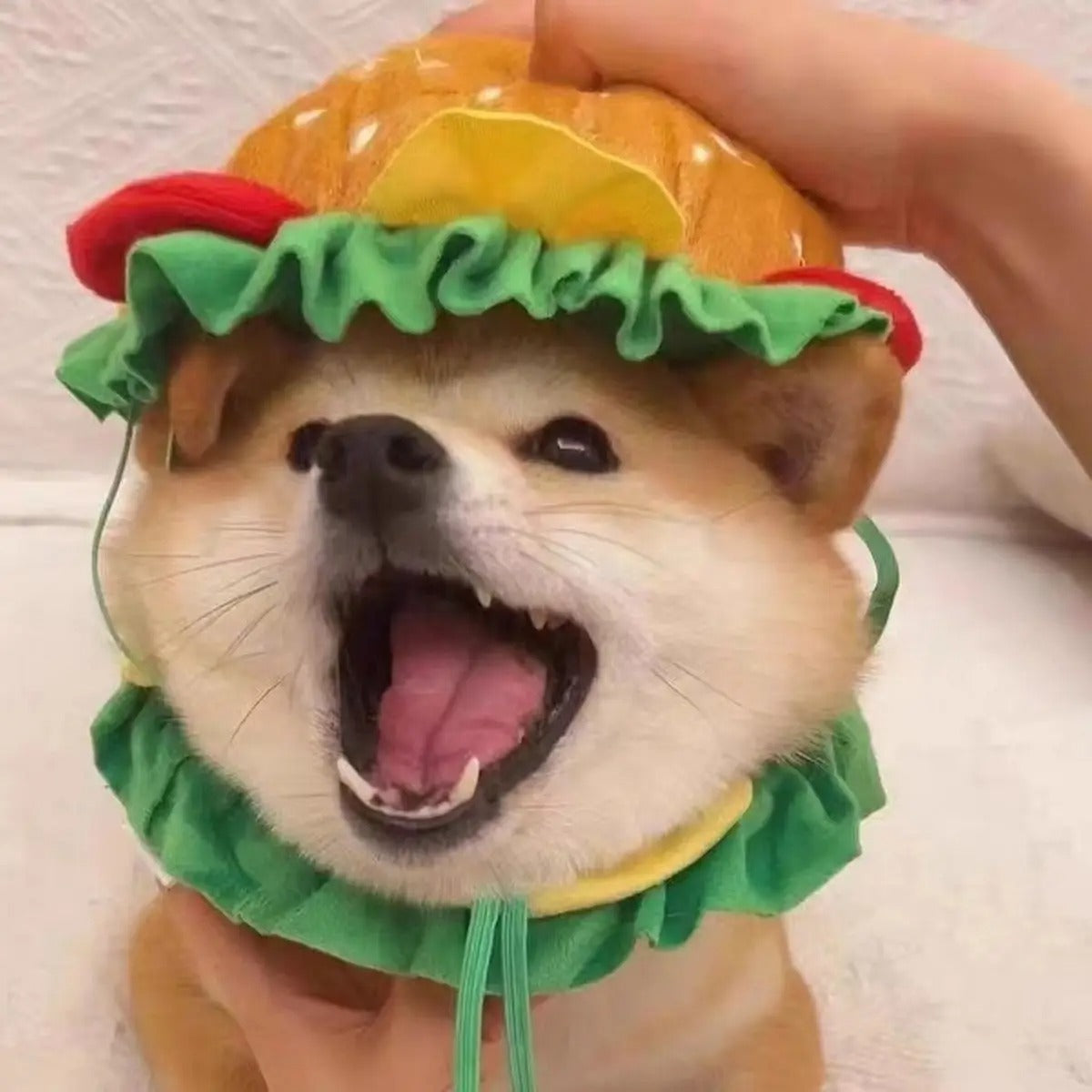 Burger Pet Cone Hat Funny Costume for Cats & Dogs_CWAH3700