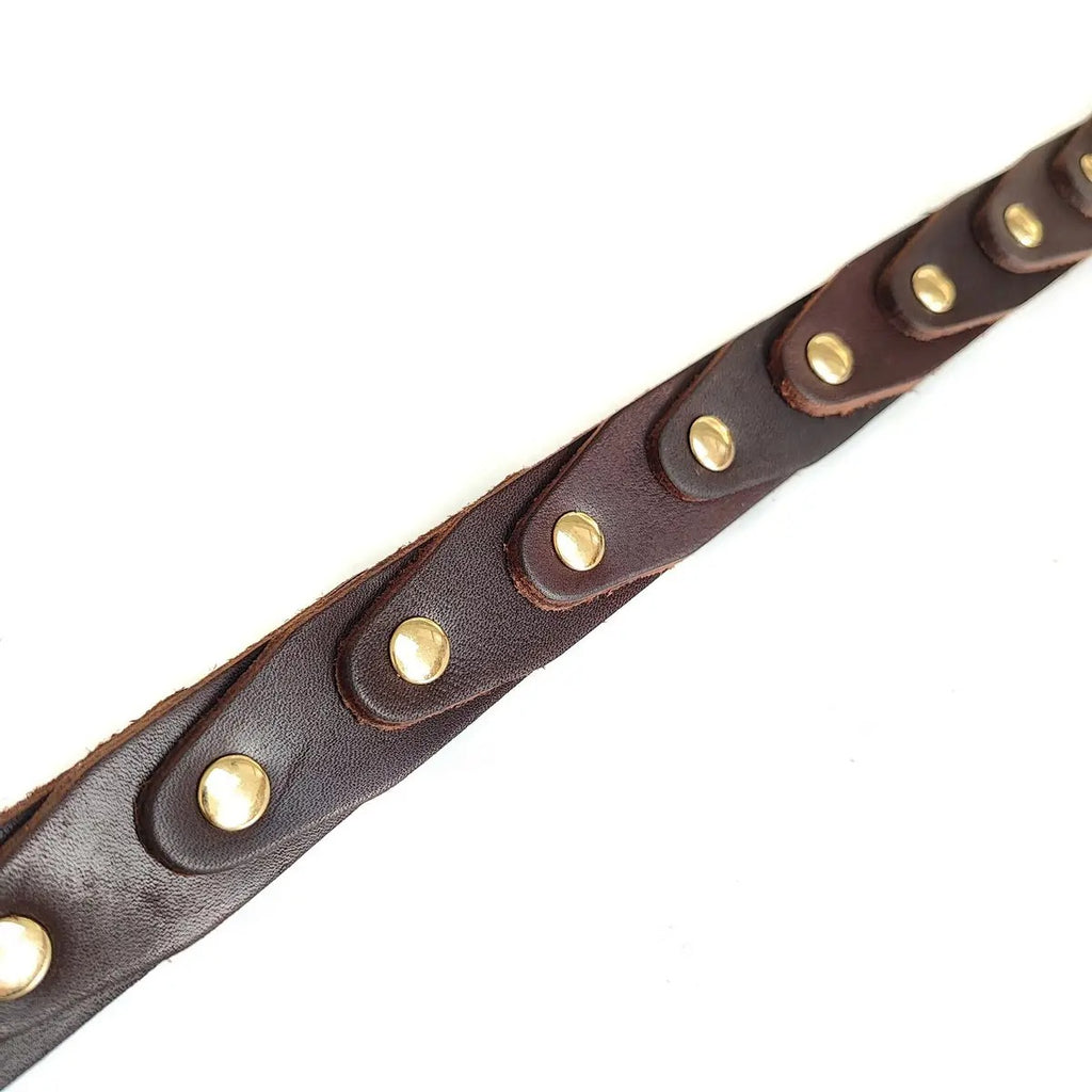 Leather Dog Collar with Rivets, Full-Grain Design_CWMM7706