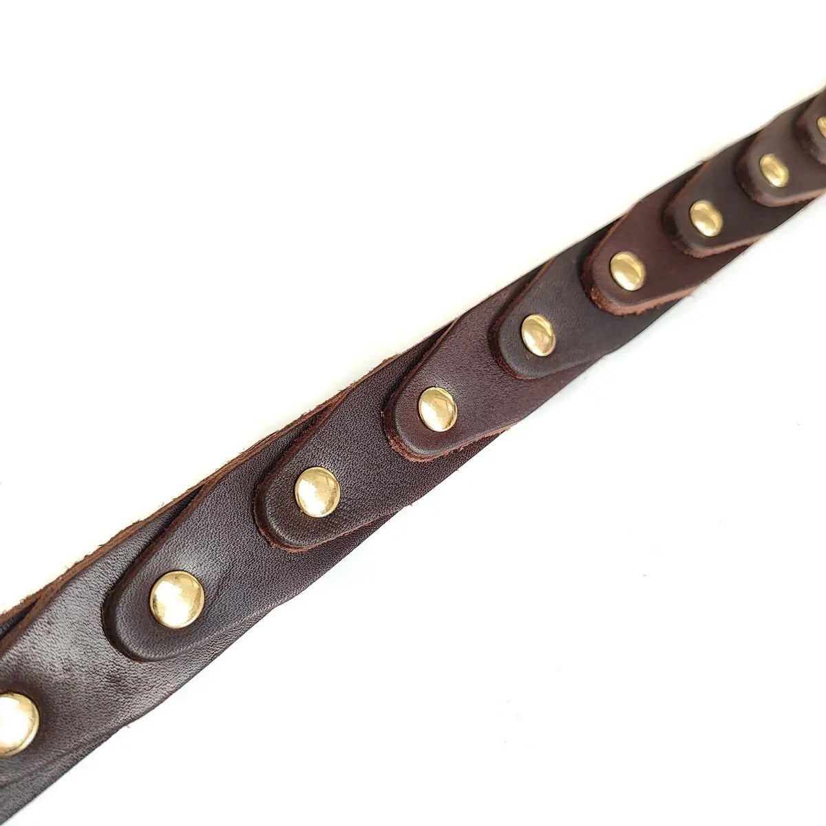 Leather Dog Collar with Rivets, Full-Grain Design_CWMM7706