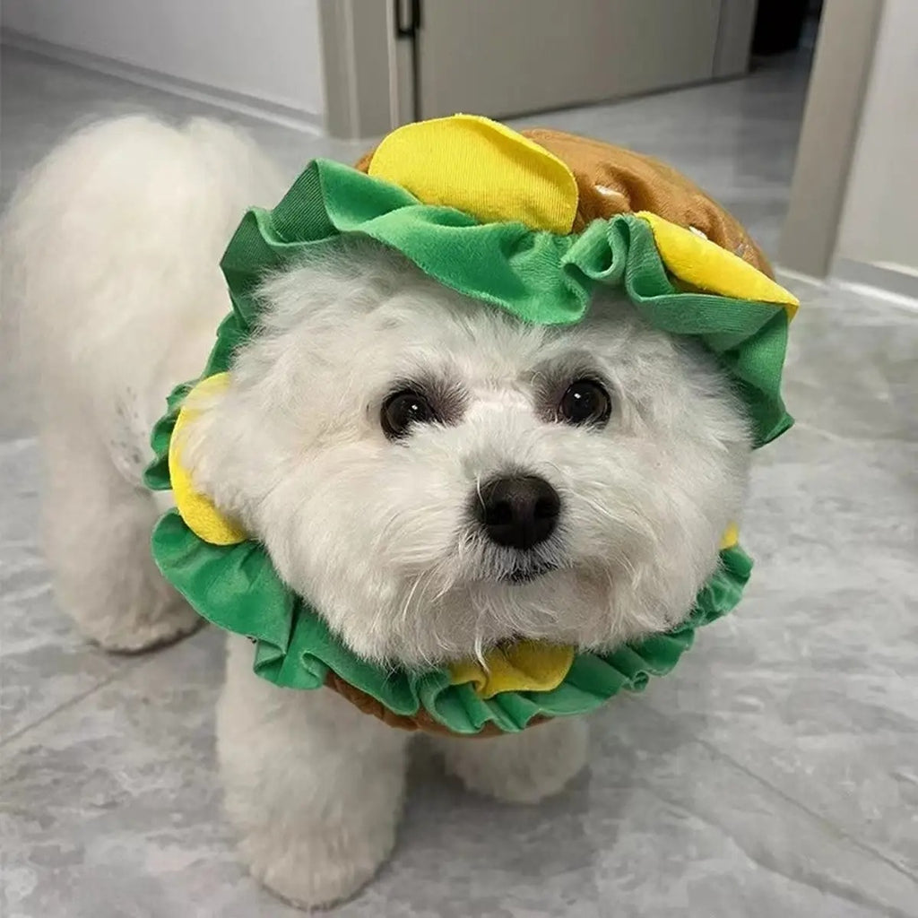 Burger Pet Cone Hat Funny Costume for Cats & Dogs_CWAH3700