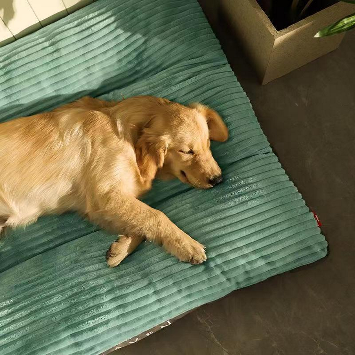 All-Season Large Dog Bed – Removable & Washable_CWMM7938