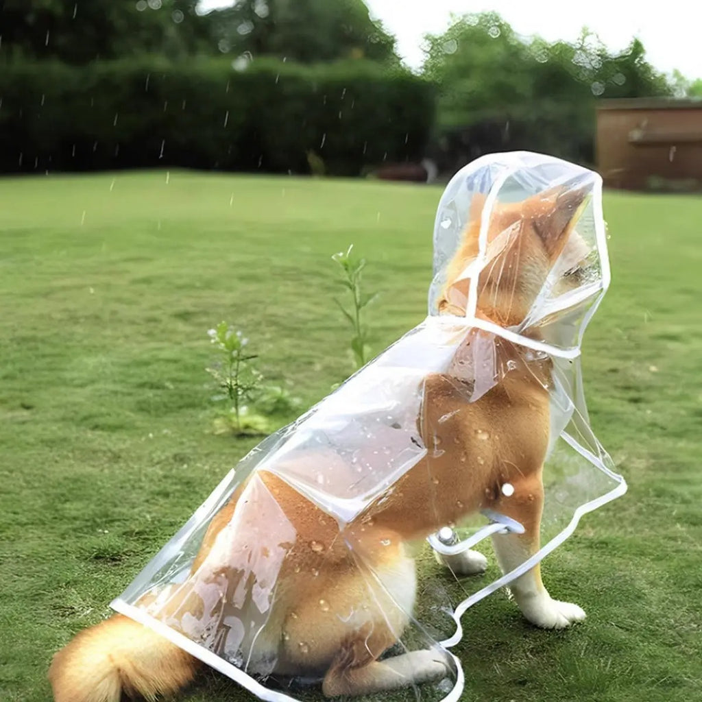 Dog Rain Poncho – Leash Hole, Clear, Waterproof_CWMM7297