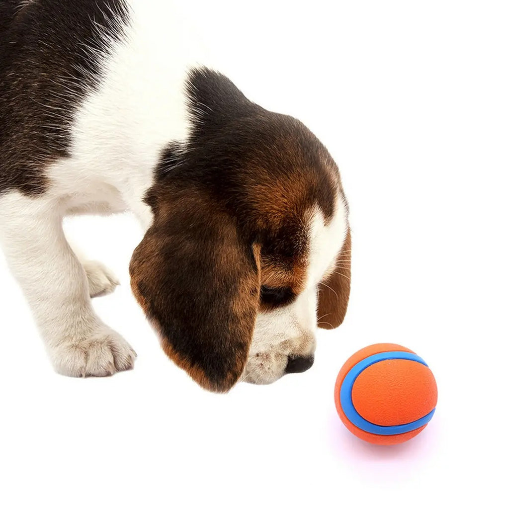 Durable Dog Chew Ball Toy – Solid Rubber_CWMM7961