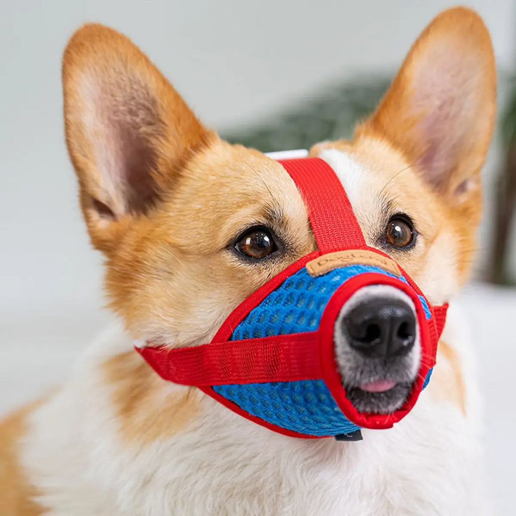 Mesh Dog Muzzle – Adjustable for Small Dogs_CWMM7263