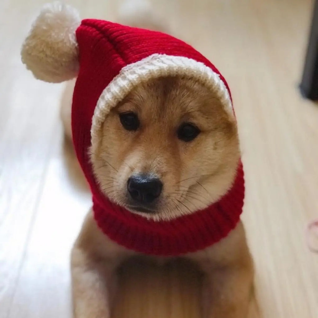 Christmas Knit Pet Hat – Festive Red for All Dogs_CWAH3705